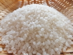 新米(写真)