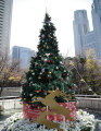 クリスマスツリー(画像) クリスマスツリー(画像)