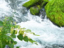 川の流れ(画像) 川の流れ(画像)