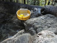 柚子湯(イメージ画像) 柚子湯(イメージ画像)