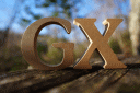 GX(画像) GX(画像)